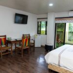 214 Semi Suite VR (7)